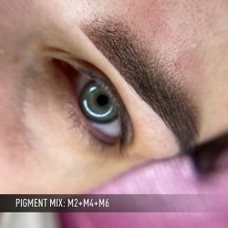 M6 DARK BROWN mineral