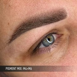 M6 DARK BROWN mineral